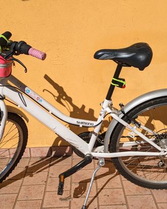 Bicicletta Silver Star  24