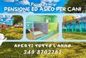 Pensione ed asilo per cani