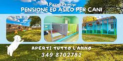 Pensione ed asilo per cani