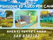 Pensione ed asilo per cani