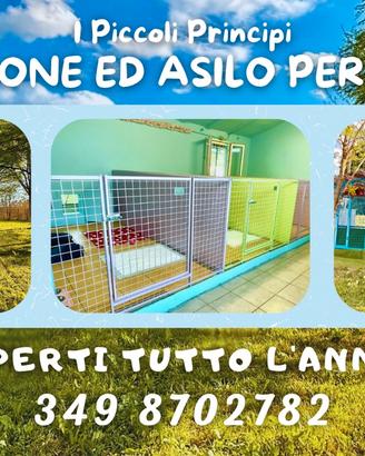 Pensione ed asilo per cani