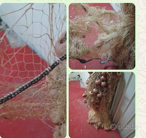 rete da pesca x triglie