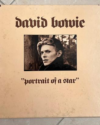 Cofanetto vinile David Bowie Portrait of a star