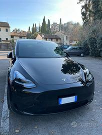 Tesla Model Y RWD