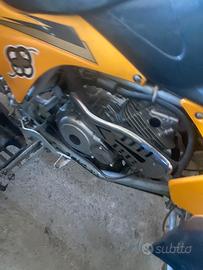 Quad 250