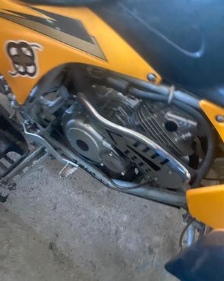 Quad 250