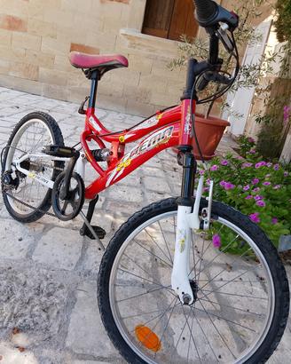 bici Mountain bike 