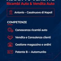 addetto vendite ricambi auto  e  concessionario 