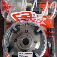 variatore Malossi Honda ADV / FORZA 350