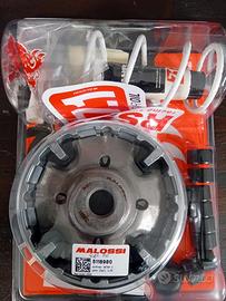 variatore Malossi Honda ADV / FORZA 350