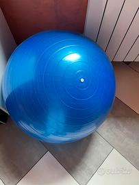 Fitball palla da Pilates