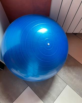 Fitball palla da Pilates