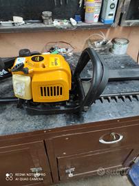 Moto Sega, taglia siepe, a scoppio 