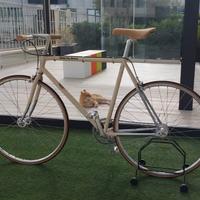 Bianchi via brera