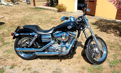 2009 Harley-davidson Dyna Superglide Custom