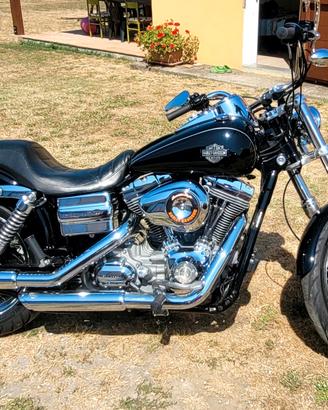 2009 Harley-davidson Dyna Superglide Custom