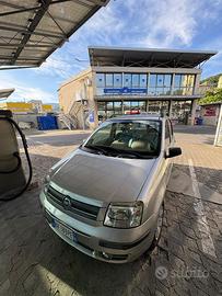 Panda 1.2 Dynamic per NEO PATENTATI