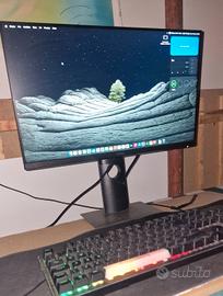 Monitor DELL P2217H - VENDUTO