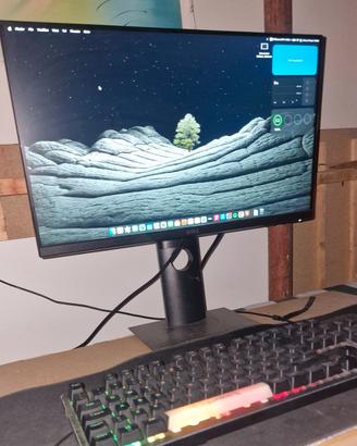 Monitor DELL P2217H - VENDUTO