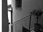 Immagine 10