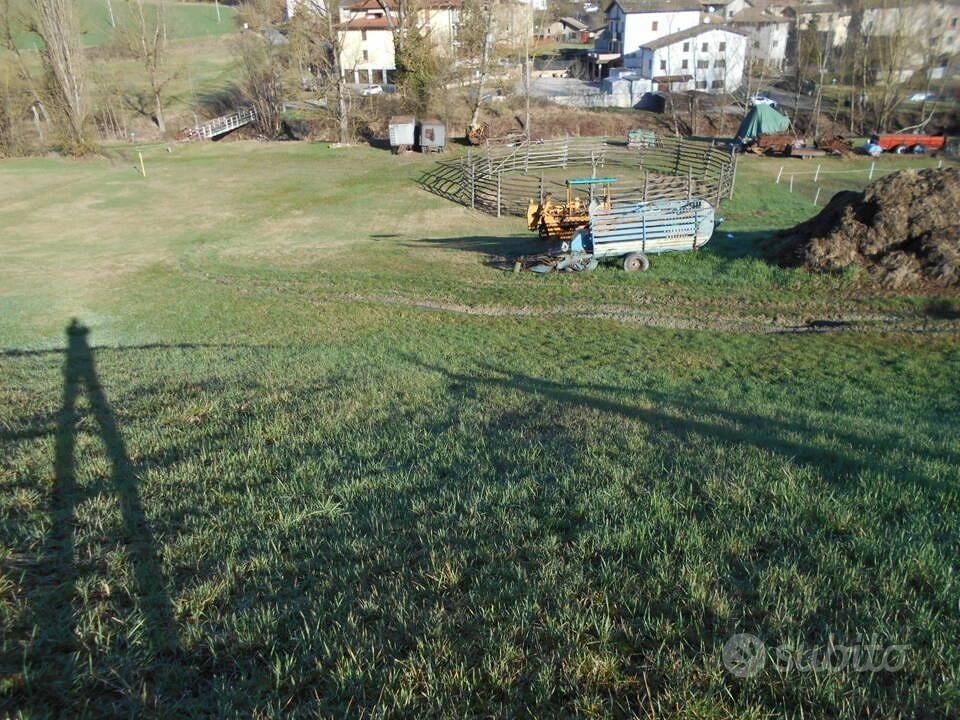 Immobile in asta di 12503 m² a Viano - Vista 5