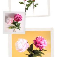 EDG 2 rami artificiali di Peonia Olis 