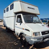 TRASPORTO CAVALLI IVECO DAILY 49-10 patente C