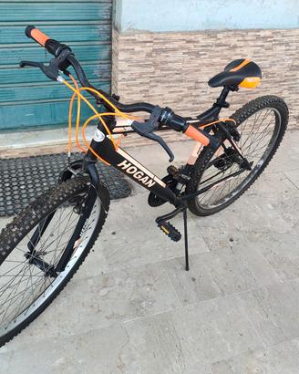 Bici Hogan H2700