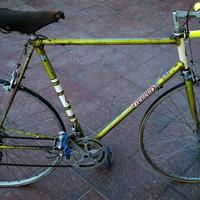 Legnano Roma-olimpiadi '60 (vintage)