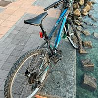 Mountain Bike Rincon Röllmar MMC