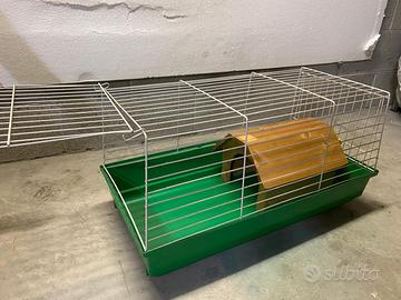 Gabbia roditori