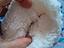 Immagine 5