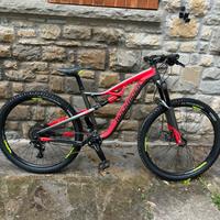 Rockrider Xc 100S 2019