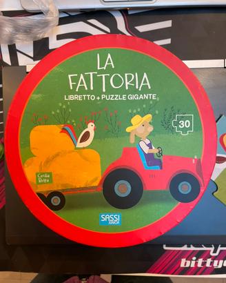 Puzzle Sassi junior