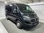 Immagine 7