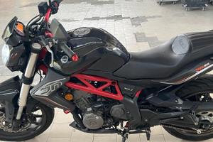 Benelli BN 302 - 2017