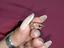 Immagine 5