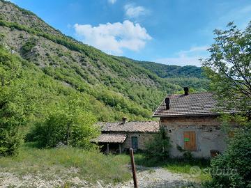 Rustico più terreno e bosco