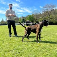 Aslan di casa Bartolini per MONTE