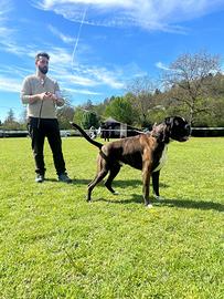 Aslan di casa Bartolini per MONTE
