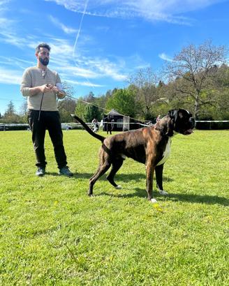 Aslan di casa Bartolini per MONTE