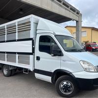 Iveco Daily 35C18 3.0 180cv trasporto animali pate