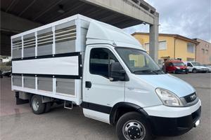 Iveco Daily 35C18 3.0 180cv trasporto animali pate