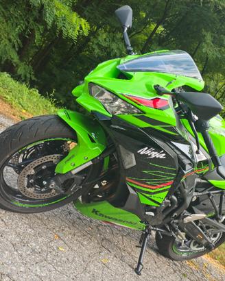 kawasaki ninja ZX4-RR 2024