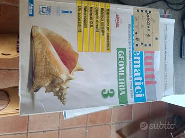 Tutti matematici geometria