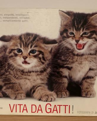 Puzzle Gattini da 1000 pezzi – WhiteStar