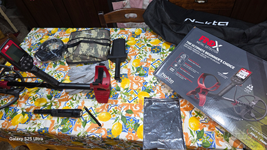 Metal detector nokta find