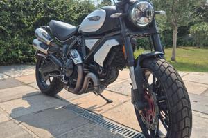 Ducati scrambler 1100 dark pro