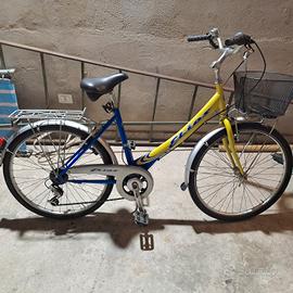 Meravigliosa bicicletta da donna