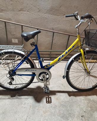 Meravigliosa bicicletta da donna